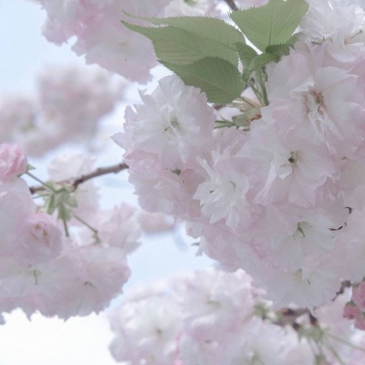 兽设节日场景创作兽圈群